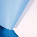 Zbliżenie na liniaturę notesu Clairefontaine Triomphe A4, papier premium 90g.