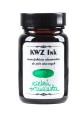 Flakon atramentu KWZ Ink zieleń trawiasta 60 ml z jasnozieloną etykietą i próbką koloru na białym tle.