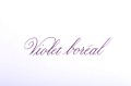 Atrament HERBIN Les Essentielles Violet Boreal 50ml