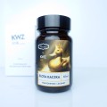 Atrament KWZ x PIÓROTEKA Warszawskie Legendy - Złota kaczka