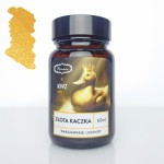 Atrament KWZ x PIÓROTEKA Warszawskie Legendy - Złota kaczka