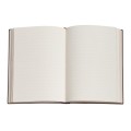 Notes PAPERBLANKS Flexis OCHRE Midi linia