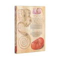 Notes PAPERBLANKS FLEXIS LILY & TOMATO Midi linia