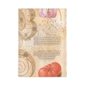 Notes PAPERBLANKS FLEXIS LILY & TOMATO Midi linia