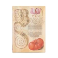 Notes PAPERBLANKS FLEXIS LILY & TOMATO Midi linia