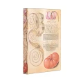Notes PAPERBLANKS LILY & TOMATO MINI linia
