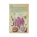 Notes PAPERBLANKS PINK CARNATION MINI linia