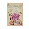 Notes PAPERBLANKS PINK CARNATION Midi linia