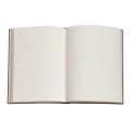 9781439796863 Skybird - Lined - Midi - Interior.jpg Notes PAPERBLANKS SKYBIRD Midi linia