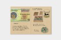 Wkład TRAVELERS Passport notes szary 009