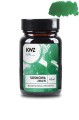 Atrament KWZ Ink sosnowa zieleń 60 ml