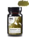 Atrament KWZ Ink zielonozłoty 60ml