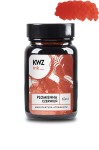 Atrament KWZ Ink płomienna czerwień 60ml  