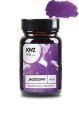 Szklany kałamarz atramentu KWZ Ink jagodowy 60 ml z ciemnofioletową próbką koloru.