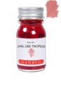 Atrament J. HERBIN 10ml - Corail des tropiques z próbką koloru