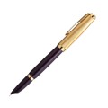 Pióro wieczne PARKER 51 DELUXE Plum GT
