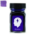 Atrament MONTEVERDE Emotions Wisdom Purple