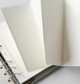 Dlon-przewracajaca-kremowe-kartki-z-niedatowanym-kalendarzem-w-otwartym-organizerze-Filofax-Malden-Personal-Vetiver
