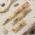 pioro-wieczne-benu-golden-beach-zblizenie-na-stalowke