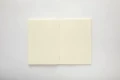 Arkusz gładkiego kremowego papieru z notatnika Apica Premium CD A5