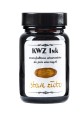 Atrament KWZ Ink stare złoto 60 ml