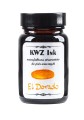 Atrament KWZ Ink El Dorado 60 ml